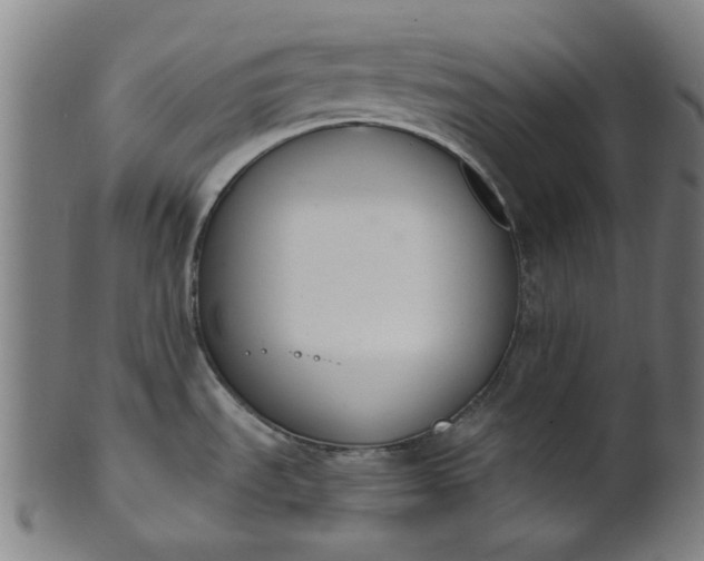 X0000101231535200807111108