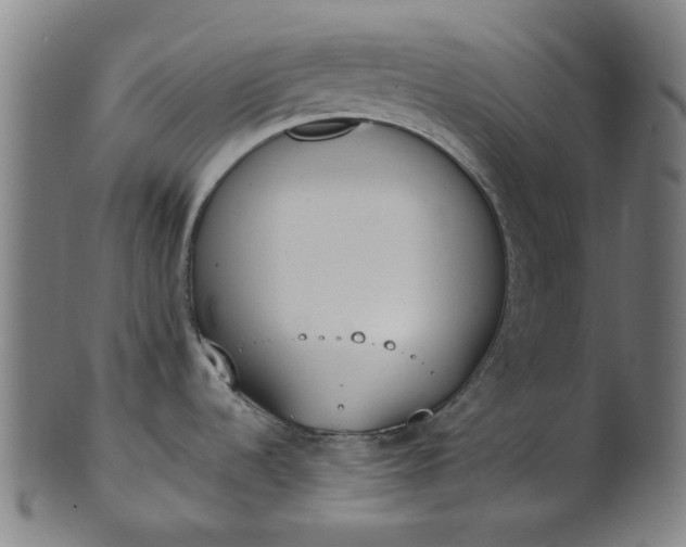 X0000101231536200807111108