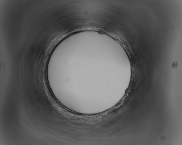X0000101230001200807181613
