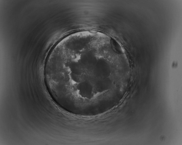 X0000101230002200807181613