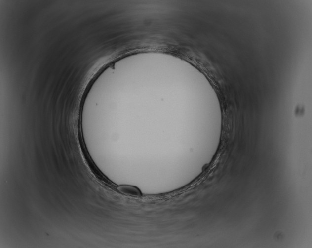 X0000101230003200807181613