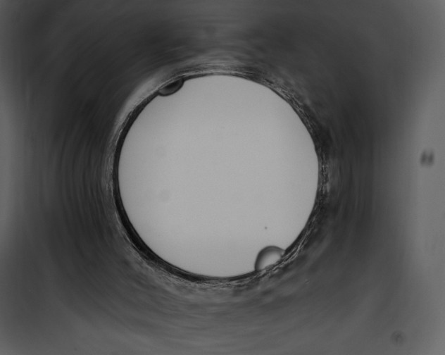 X0000101230004200807181613