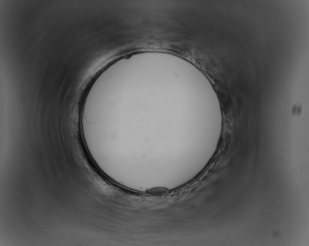 X0000101230005200807181613