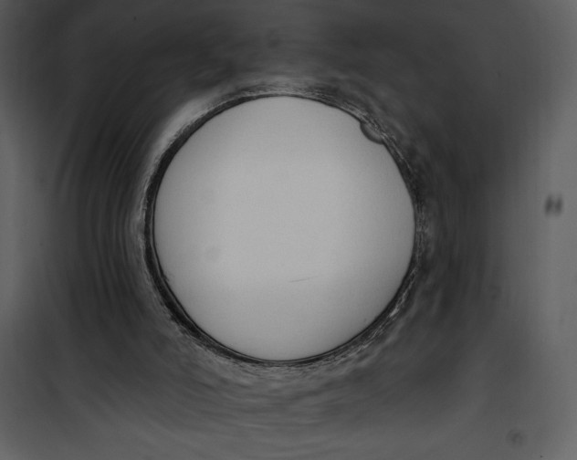 X0000101230006200807181613