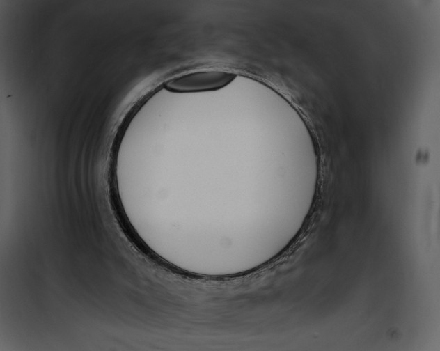 X0000101230007200807181613