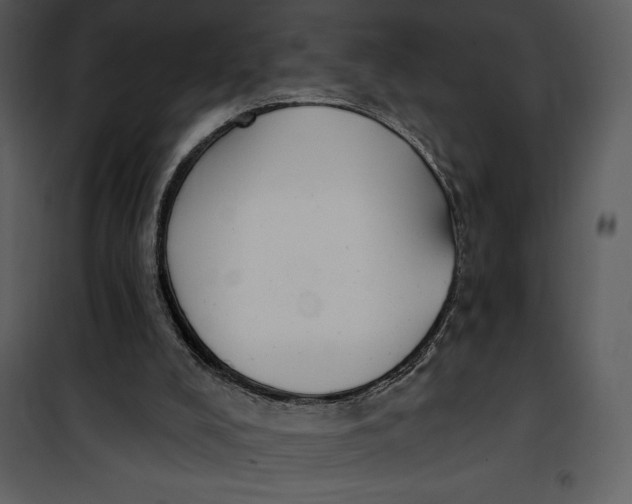 X0000101230008200807181613