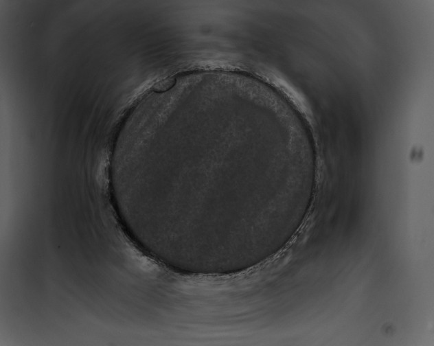 X0000101230009200807181613