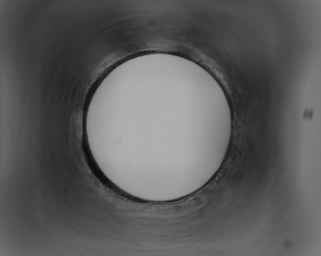 X0000101230011200807181613