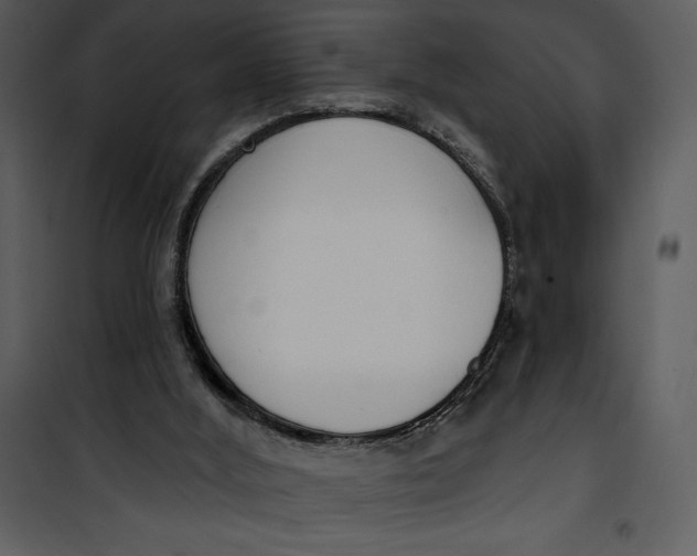 X0000101230012200807181613