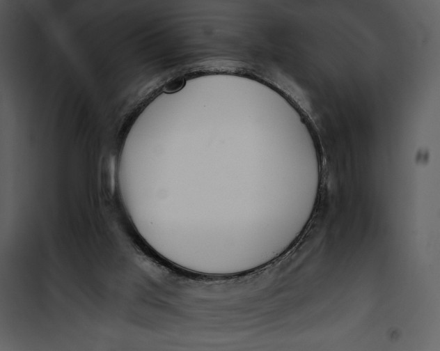 X0000101230013200807181613
