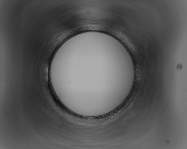 X0000101230014200807181613