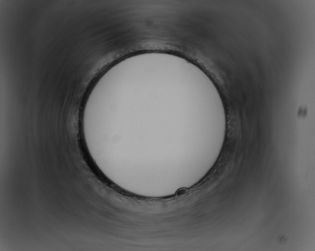 X0000101230015200807181613