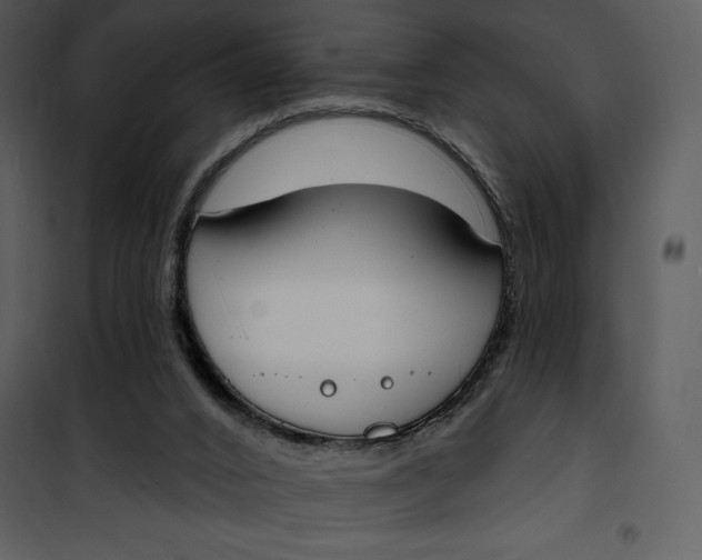 X0000101230016200807181613