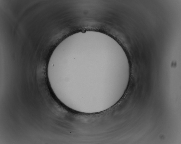 X0000101230017200807181613