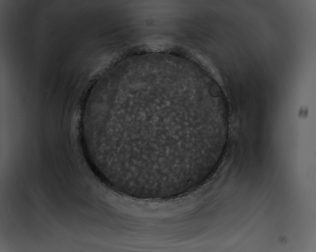 X0000101230018200807181613