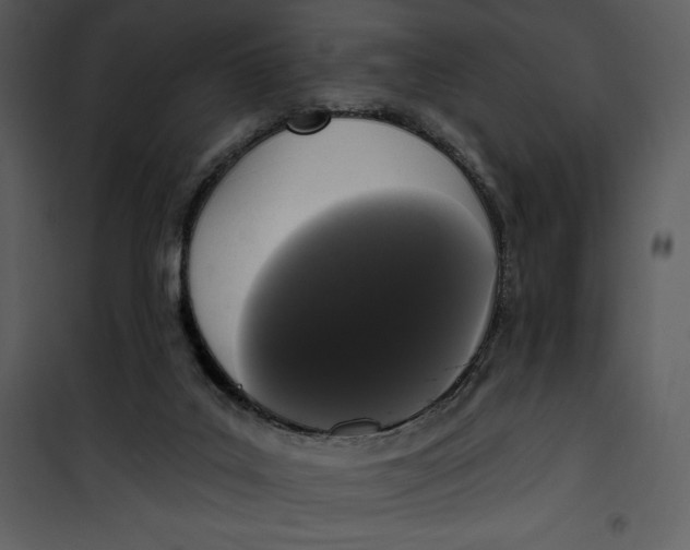 X0000101230019200807181613