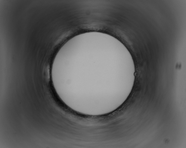 X0000101230020200807181613