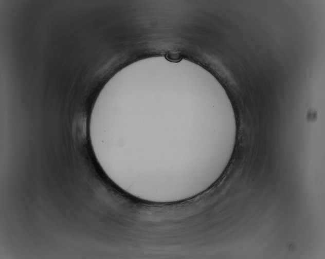 X0000101230021200807181613