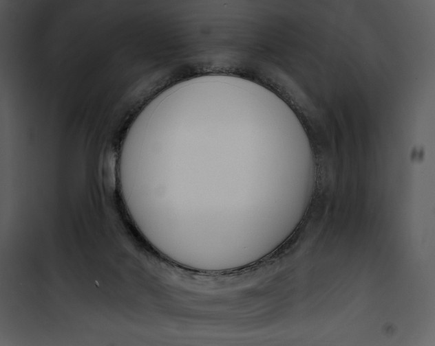 X0000101230022200807181613