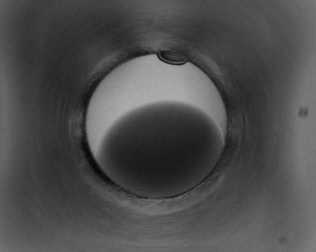 X0000101230023200807181613