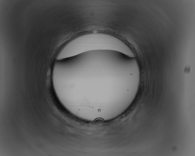 X0000101230024200807181613