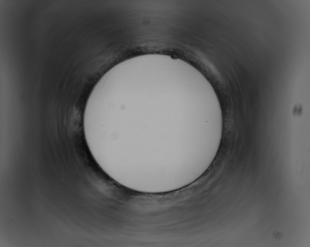 X0000101230025200807181613