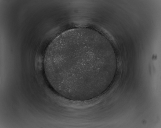 X0000101230026200807181613