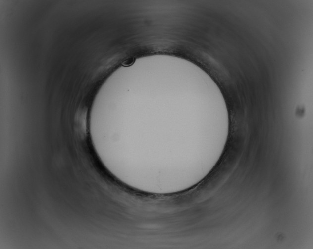 X0000101230028200807181613