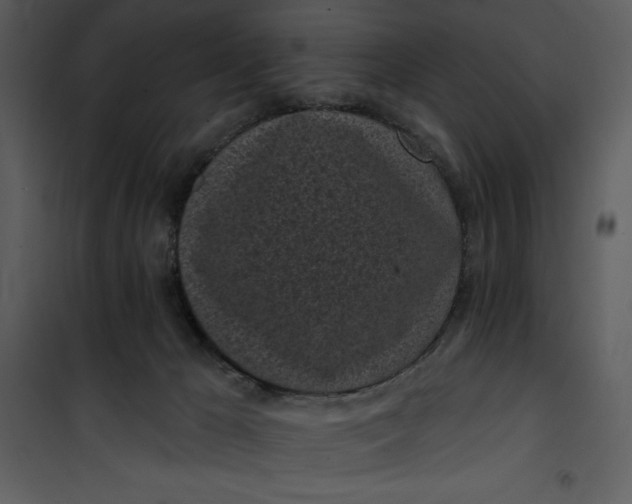 X0000101230029200807181613