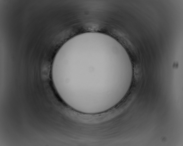 X0000101230030200807181613