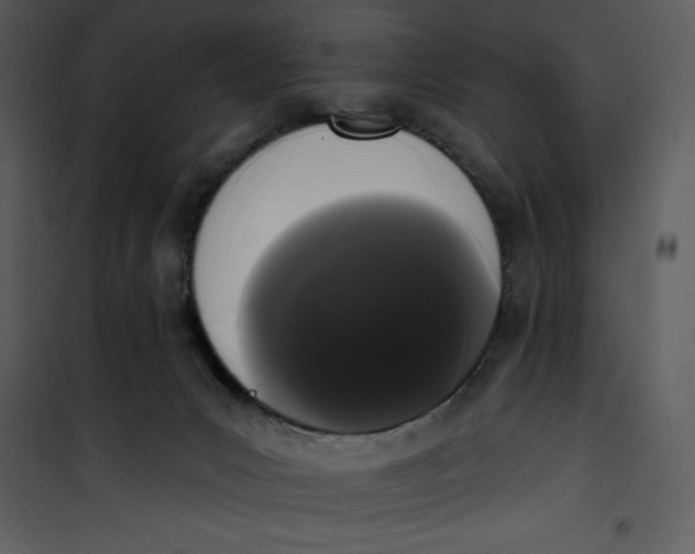 X0000101230031200807181613