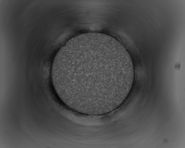 X0000101230032200807181613