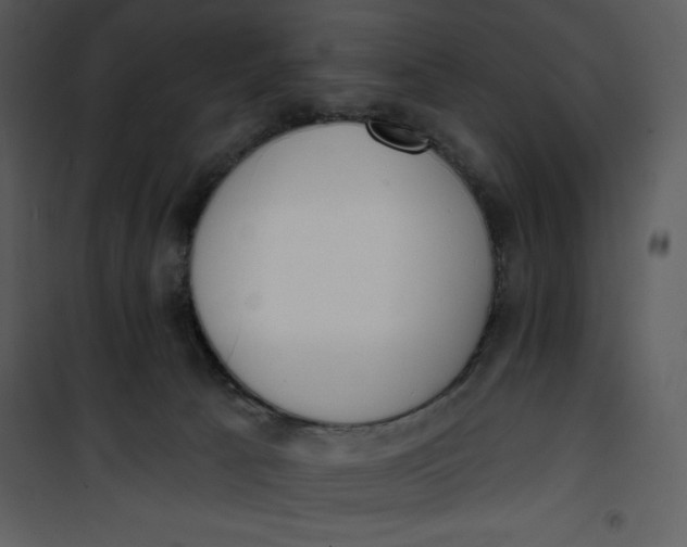 X0000101230033200807181613