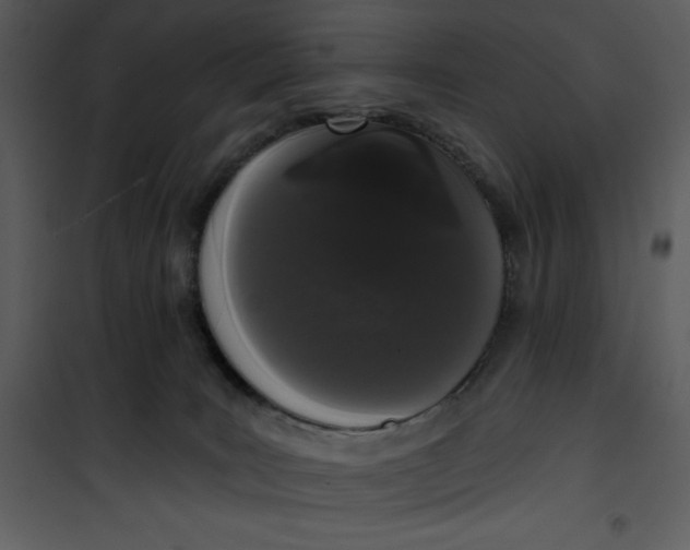X0000101230035200807181613