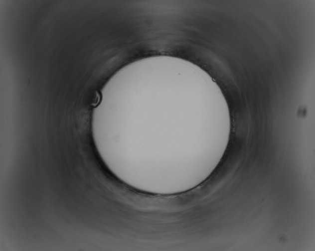 X0000101230036200807181613