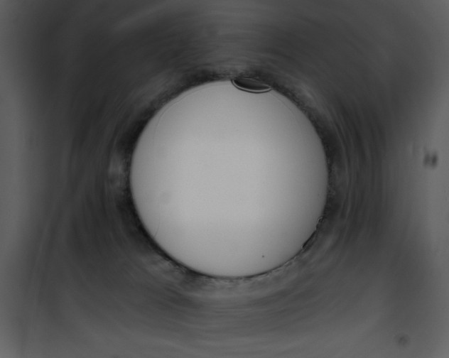 X0000101230037200807181613