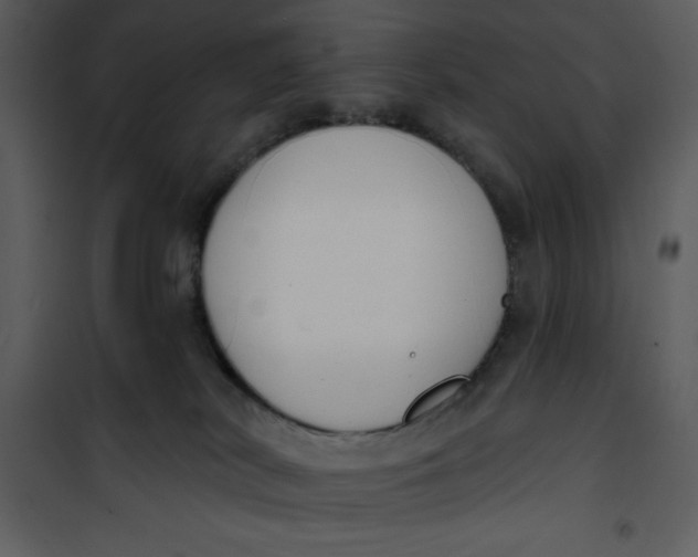 X0000101230038200807181613