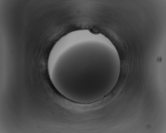 X0000101230039200807181613