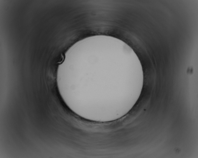 X0000101230040200807181613