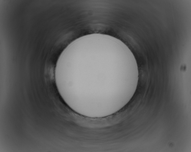 X0000101230042200807181613