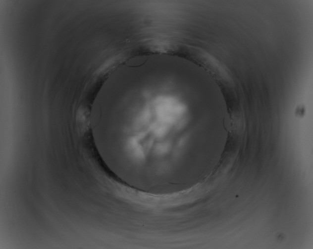 X0000101230043200807181613