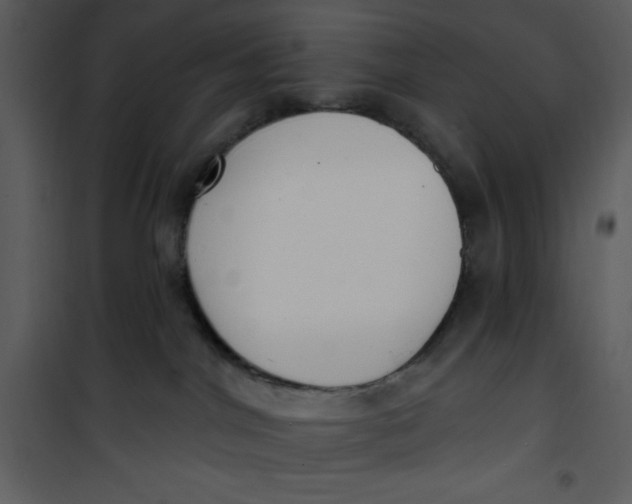 X0000101230044200807181613