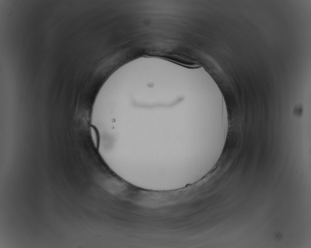 X0000101230045200807181613