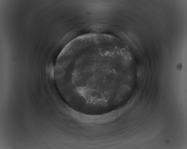 X0000101230046200807181613