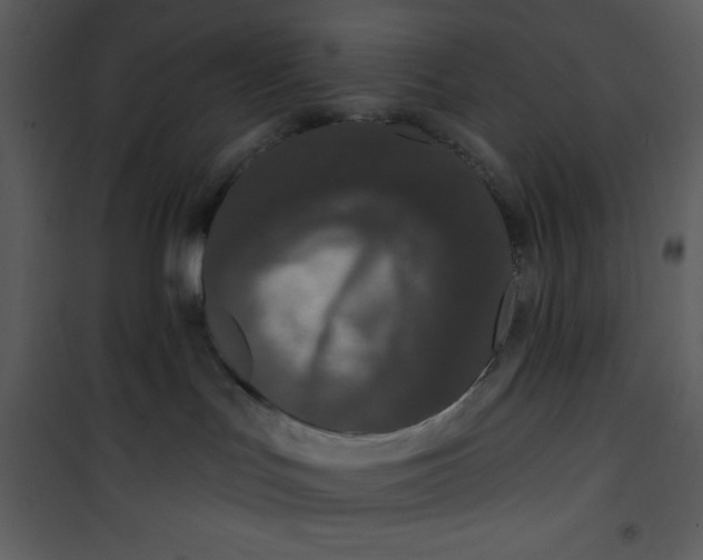 X0000101230047200807181613