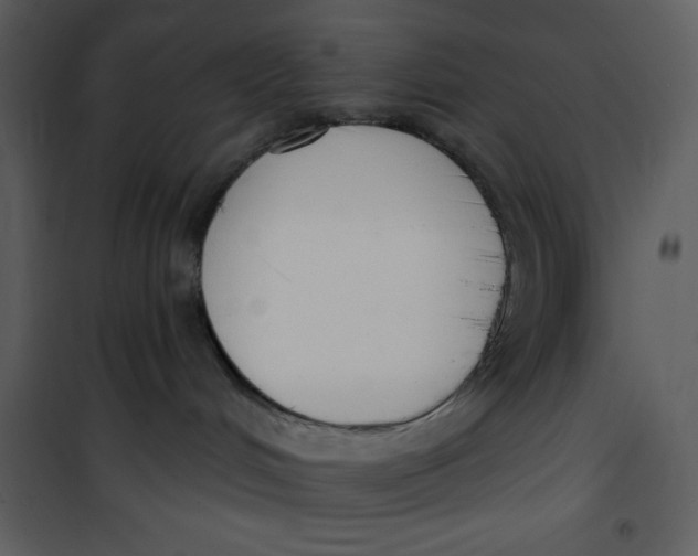 X0000101230048200807181613