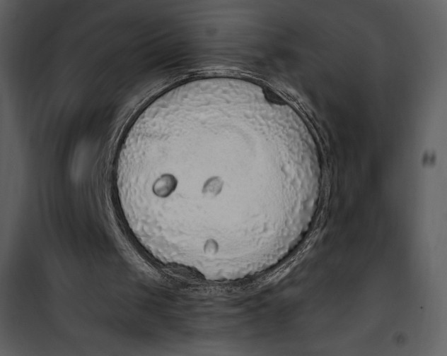 X0000101230049200807181612