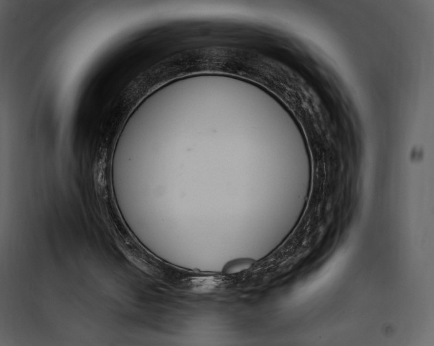 X0000101230050200807181612