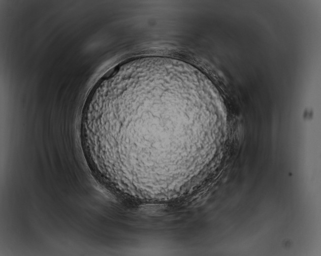 X0000101230051200807181612