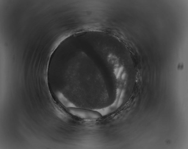 X0000101230052200807181612